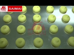 Đường dây sản xuất bánh mỳ, bánh mì hamburger, bánh nướng, bánh cup, bánh trăng, bánh mỳ Đan Mạch